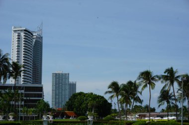 Ortasında büyük bir bina olan şehir silueti. Gökyüzü açık ve mavi. Palmiye ağaçları yeşil ve uzundur