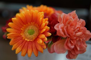 Yeşil saplı bir vazo portakal çiçeği. Vazo beyazdır.