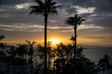 Arka planda palmiye ağaçları ile okyanusun üzerinde güzel bir günbatımı. Gökyüzü bulutlarla dolu, karamsar bir atmosfer yaratıyor.