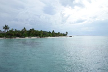 Palmiye ağaçları ve berrak mavi bir okyanusu olan güzel bir sahil. Gökyüzü bulutlu, ama su sakin ve davetkar.