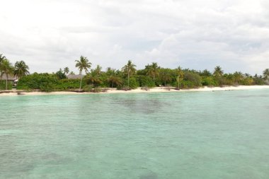 Palmiye ağaçları ve berrak mavi bir okyanusu olan güzel bir sahil. Su sakin ve gökyüzü bulutlu.