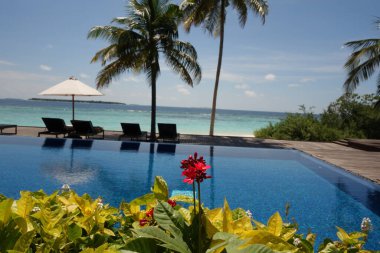 Önünde kırmızı bir çiçek olan havuz. Havuz sandalyeler ve şemsiyelerle çevrili.