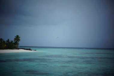 Uçak arka planda bir palmiye ağacıyla bir su kütlesinin üzerinde uçar. Gökyüzü bulutlu, karamsar bir atmosfer yaratıyor.