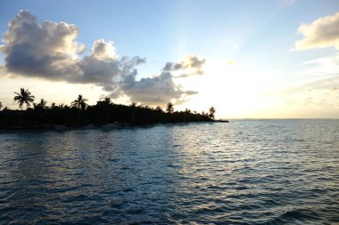 Okyanus sakin ve gökyüzü mavinin güzel bir tonu. Güneş batıyor, suyun üzerine sıcak bir parıltı saçıyor. Huzurlu ve huzurlu bir sahne.