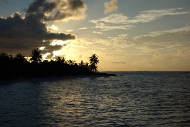 Arka planda palmiye ağaçları ile okyanusun üzerinde güzel bir günbatımı. Gökyüzü bulutlarla dolu. Huzurlu ve huzurlu bir atmosfer yaratıyor.
