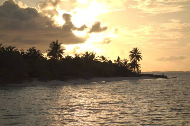 Arka planda palmiye ağaçları ile okyanusun üzerinde güzel bir günbatımı. Gökyüzü bulutlarla dolu. Huzurlu ve huzurlu bir atmosfer yaratıyor.