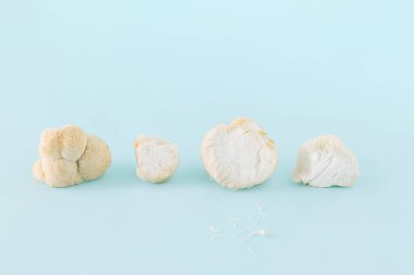 En az tıbbi, yenilebilir mantarlı Hericium erinaceus ya da izole edilmiş pastel arka planda aslan yelesi olan sahne. Sağlıklı beslenme kavramı. Çiğ yemek fikri.