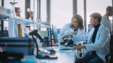 Modern Tıp Araştırma Laboratuvarı: Çeşitli Etnik Genç Bilim Adamları Test Örnekleri Analizi Ekibi. Yüksek Teknolojik Ekipmanlı Gelişmiş Laboratuvar, Araştırma Tasarımı, Geliştirilmiş Uyuşturucu.