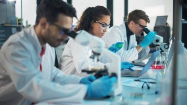 Tıp Bilimi Laboratuvarı: Mikroskop Altında Araştıran, Kimyasalları Analiz eden, Konuşan ve Çözen Çok Etnik Genç Bilim Adamlarından oluşan Sıra. Gelişmiş Laboratuvarda Biyoteknoloji Uzmanları