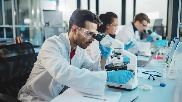 Medical Science Laboratory Row Diverse Team Multi Ethnic Young Scientists — Foto de Stock