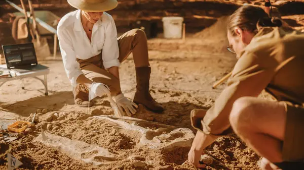 Sítio Escavação Arqueológica Dois Grandes Paleontólogos Descobriram Restos Fósseis Dinossauro — Fotografia de Stock