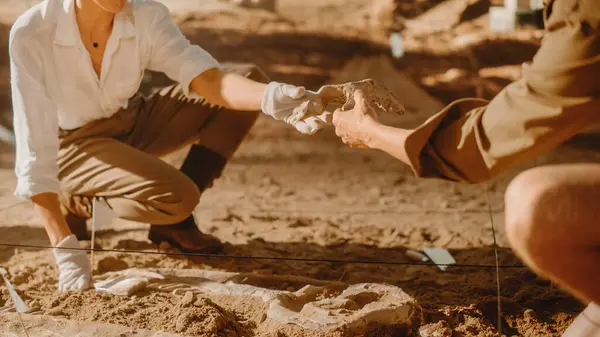 Sítio Escavação Arqueológica Dois Grandes Paleontólogos Passam Osso Dinossauro Recentemente — Fotografia de Stock