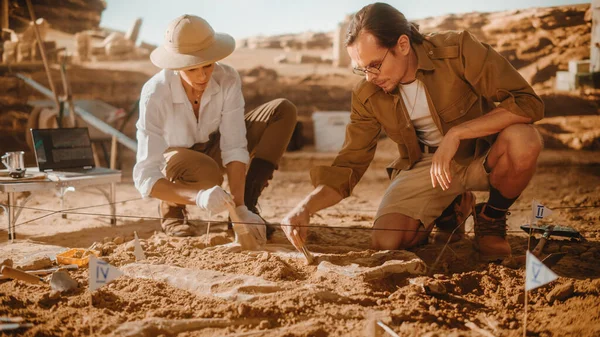 Sítio Escavação Arqueológica Dois Grandes Paleontólogos Limpeza Recém Descoberto Dinossauro — Fotografia de Stock