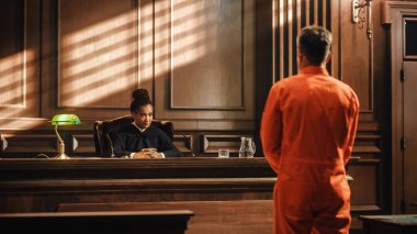 Hukuk ve Adalet Divanı Duruşmaları: Turuncu Tulumlu Hukuk Suçlusu Sorgulanıyor ve Yargıç, Jury 'ye İfade Veriliyor. Suçlamaları reddetme, savunma, şartlı tahliye reddedilme.