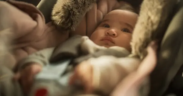 Porträtt Söt Asiatisk Baby Sitter Lugnt Bilstol Med Säkerhetsbälte Säkert Stockbild