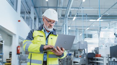 Portrait of a Bearded Middle Aged Engineer Standing in a Factory Facility, Wearing a High Visibility Jacket and a White Hard Hat. Heavy Industry