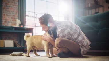 Happy Man Cuddles His Adorable Little Pug, Gives it Snacks at Home. Handsome Man Plays with His Dog, Best Friend, Scratches Super Happy Doggy, Have