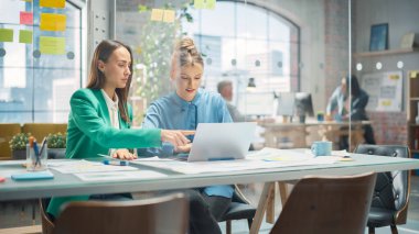 Office Hub 'daki Laptop ekranına İşbirliği ve İşbirliği yapan İki Yaratıcı İş Birliği Portresi. Beyaz Kadın Tasarımcı Çalışmayı Tartışıyor