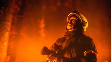 Ormanın derinliklerindeki vahşi bir yangını söndüren deneyimli itfaiyeci. Profesyonel Güvenlik Üniforması ve Miğfer Tutma İtfaiye hortumu, Yukarı Bakıyor