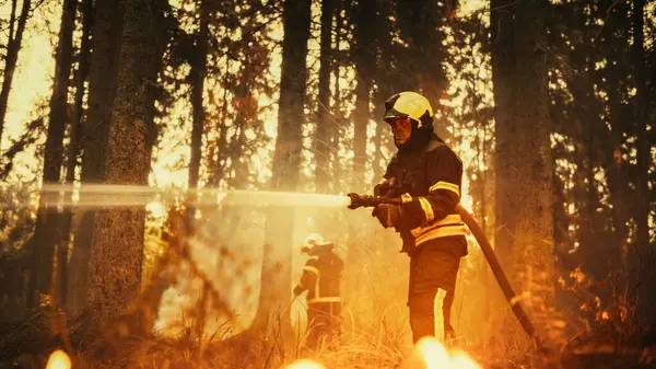 stock image Portrait of a Handsome Professional Firefighter Methodically Extinguishing a Forest Fire with the Help of a Fire Hose. Firemen Brigade Rescuing