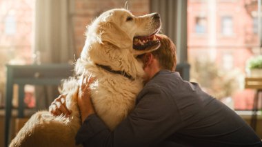 Çekici Genç Yetişkin Adam eğleniyor, Altın Avcı Köpeğini Oturma Odası zemininde eğitiyor. Yakışıklı Mutlu Köpek Sahibi Hayvan Eğitimi