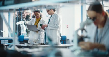 Bir girişim laboratuvarında çalışan çeşitli genç mühendisler grubu. İki Proje Yöneticisi Kadın Uzmanken Dizüstü bilgisayar İmalatını Tartışıyor