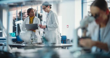 Bir girişim laboratuvarında çalışan çeşitli genç mühendisler grubu. İki Proje Kullanılırken Kadın Uzman Elektronik Devre Denetleme Mikroskobu