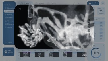 Gazi kliniği için hafif tıbbi yazılım arayüzü. Veterinerlik Doktorları İçin Bilgisayar Programı Hasta Tutoise Davası. Hayvanların X-Ray 'i