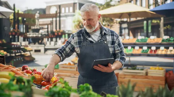 stock image Handsome Adult Farmer Using Tablet Computer on a City Square with Vendors Selling Fresh Organic Agricultural Products. Middle Aged Man Organizing