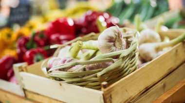 Doğal olarak yetiştirilmiş sarımsak bir markette bir tezgahta satıldı. İlaçsız Kimyasal Organik Sebzeler ve Yerel Bir Çiftlikten Diğer Eko Üretimi