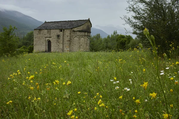 Kis Templom Román Stílusban Egy Zöld Rét Virágokkal Serrablo Útvonal — Stock Fotó