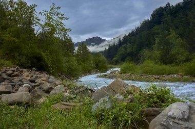 Ağaçlı dağ manzarası, temiz su nehri ve bulutlu gökyüzü. Ara Nehri, Huesca, İspanya