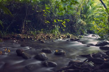 Taşların arasında güçlü bir nehir akan yemyeşil bir orman. Uzun pozlama resmi