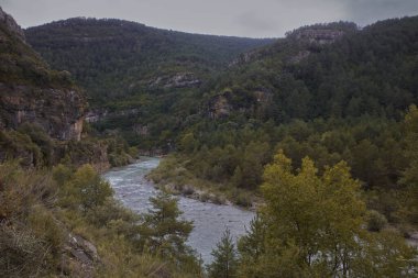 Güçlü nehri olan dağ manzarası. Yatay çekim