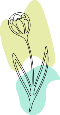 Renkli organik şekilli soyut estetik çizgiler.