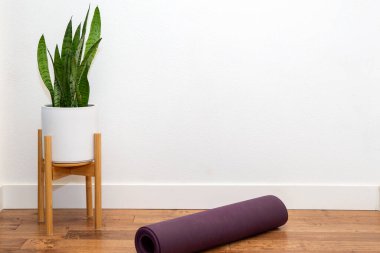 Beyaz duvarda yoga minderi olan beyaz tarladaki yılan bitkisi.