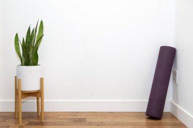 Beyaz duvarda yoga minderi olan beyaz tarladaki yılan bitkisi.