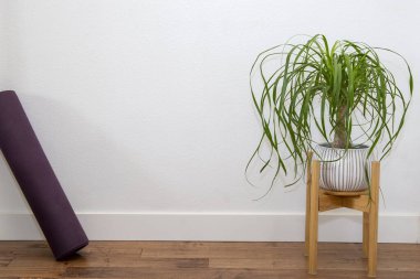 Beyaz duvarda yoga minderi olan beyaz seramik bir tencerede at kuyruğu Palm.