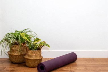 At kuyruklu Palm ve Croton sepetin bitkisi yoga minderiyle beyaz duvara yaslanmış.