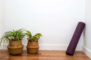 At kuyruklu Palm ve Croton sepetin bitkisi yoga minderiyle beyaz duvara yaslanmış.