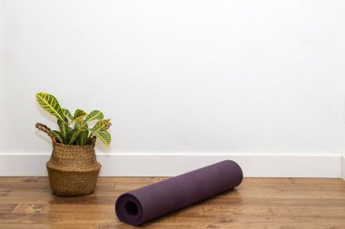 At kuyruklu Palm sepette yoga minderiyle beyaz duvara yaslanmış.