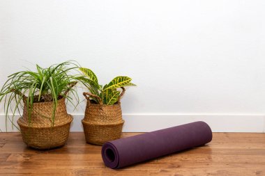 At kuyruklu Palm ve Croton sepetin bitkisi yoga minderiyle beyaz duvara yaslanmış.