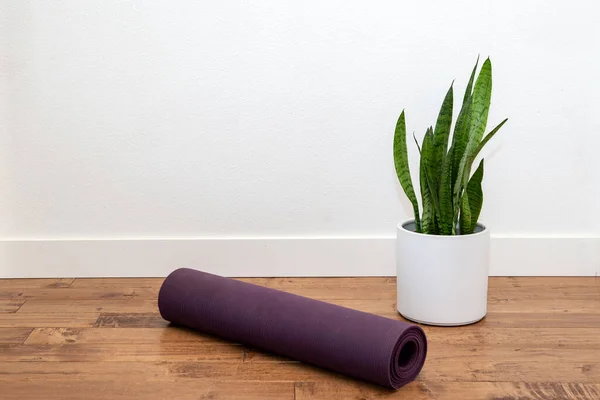 stock image Snake plant in the white planter with yoga mat against the white wall