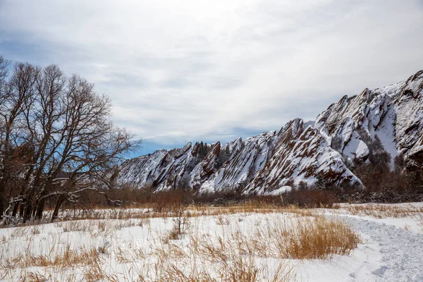 科罗拉多州的罗克斯堡州立公园冬季被雪覆盖 — 图库照片