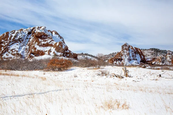 コロラド州のロックスボロ州立公園は冬に雪で覆われている — ストック写真