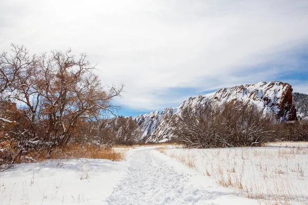 Roxborough State Park Colorado Bedekt Met Sneeuw Winter — Stockfoto