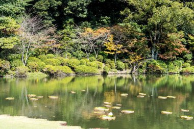 Gölet Japonya 'nın Beppu kentindeki Umijigoku' da zambaklar ve Victoria Amazonica ile doluydu.