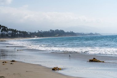 Santa Barbara 'daki Doğu Sahili
