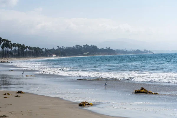 East Beach Santa Barbara — Stock Photo, Image
