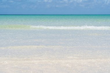 Bahamalar 'daki İspanyol Kuyuları' ndaki el değmemiş plaj.